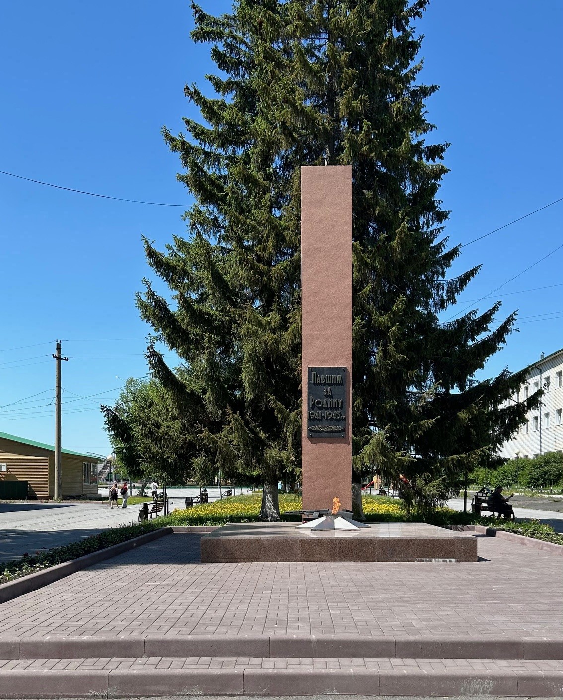 image3ermnju95